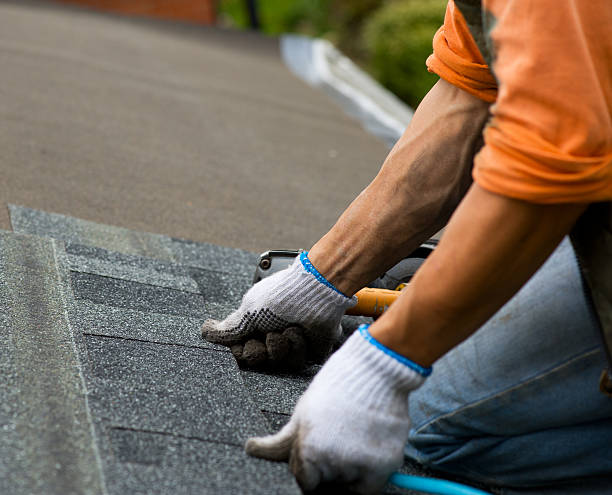 Best Gutter Installation and Roofing  in Mount Gay Shamrock, WV