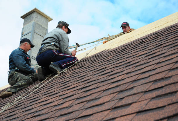 Gutter Installation and Roofing in Mount Gay Shamrock, WV